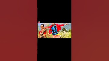 Thumbnail of Nan Pendul Adtan | Short Video | Koya Gondi Short Video #koyagondi #nayanmusic #song #dance #shorts
