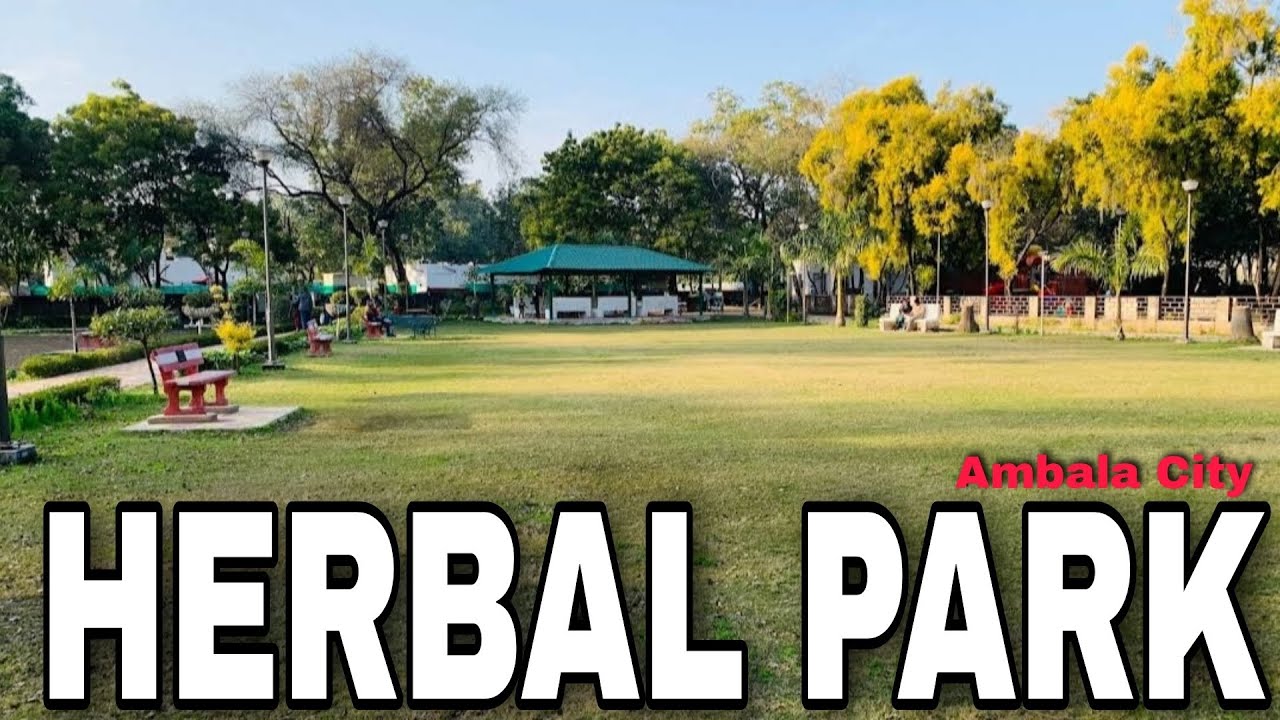 HERBAL PARK View Ambala City Photoshoot today Hr01_riderrohit