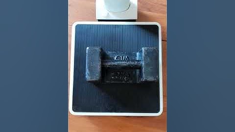 Seca 786 Column Scale