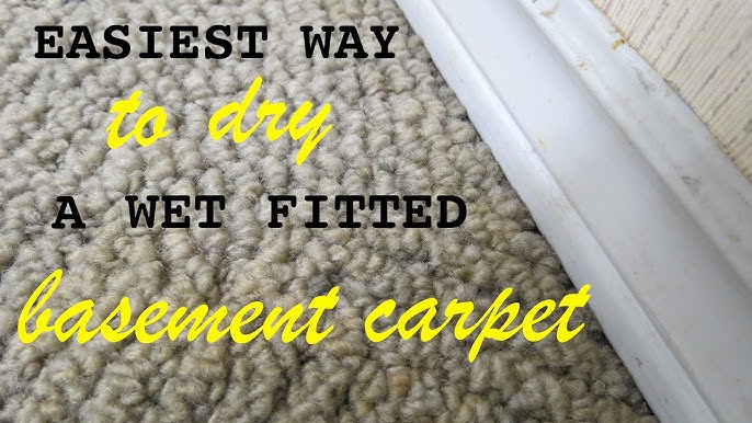 How To Dry A Wet Fitted Basement Carpet With Little Effort You Dry A Wet Fitted Basement Carpet, How To Treat Wet Basement Carpet