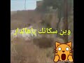وين سكانك ياهالدار 