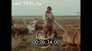 Кинохроника Ненецкий АО