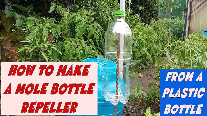 HOW TO MAKE A MOLE BOTTLE REPELLER FROM A PLASTIC BOTTLE
