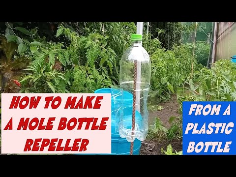 Video: How To Make A Spinner From A Plastic Bottle To Repel Moles