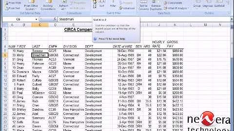 New Era Technology presents Single Column Sorting in Excel 2007