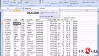 New Era Technology presents Single Column Sorting in Excel 2007