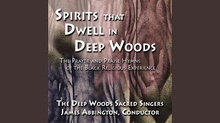 Video thumbnail of "The Deep Woods Sacred Singers - I Know My Name Is Written There"