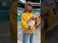 Un vrai duo @TaylorSwift #musique #chat #cat #taylorswift #fyp #pop #pourtoi