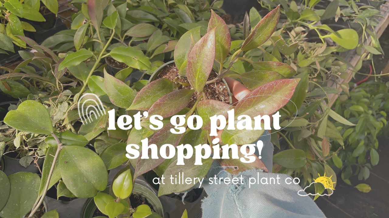 Plant farms tyler tx