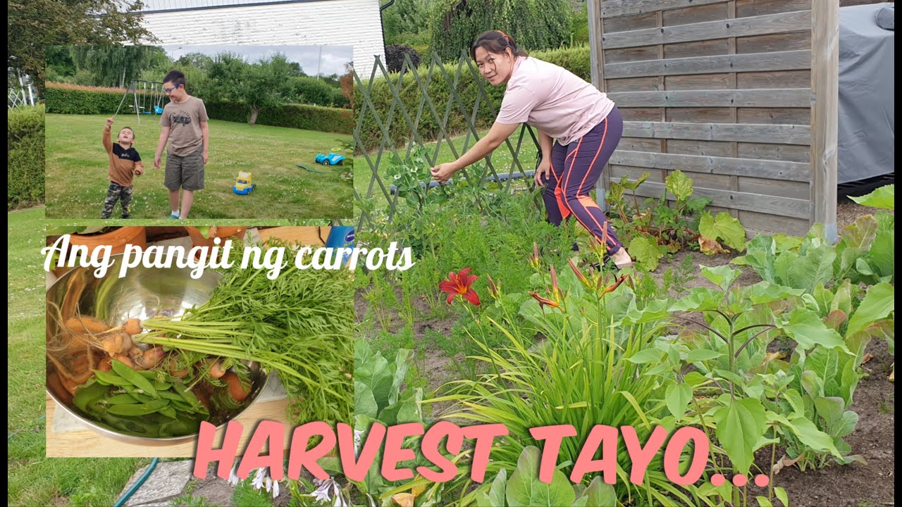 First time magvlog ulit...😀