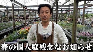 【お知らせ】春の個人庭企画について【カーメン君】【園芸】【ガーデニング】