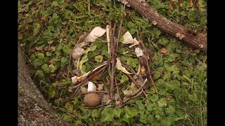 Slow Down, the Earth is Sick(Stop Motion Animation)