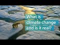 Climate Catastrophe and Resilience 
