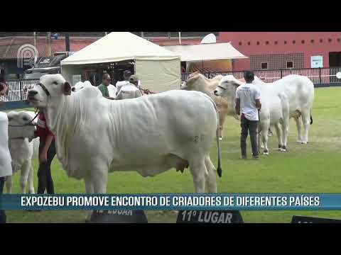 Expozebu promove encontro de criadores de diferentes países - RN - 04/05/2022