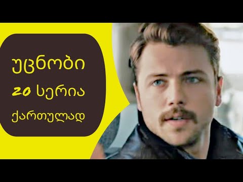 უცნობი 20 სერია ქართულად