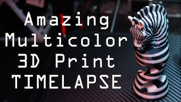 Multicolour 3D Print Timelapse Zebra Prusa MMU Torture Test  ERCF ERCP