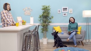Purina Beyond Dog Food | Chewy screenshot 5