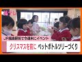 クリスマス前に 子供たちがペットボトルツリーづくり JR福島駅東口で19日と20日にイベント 福島 (25/12/16 11:53)