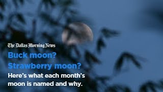 Why different moons have different names