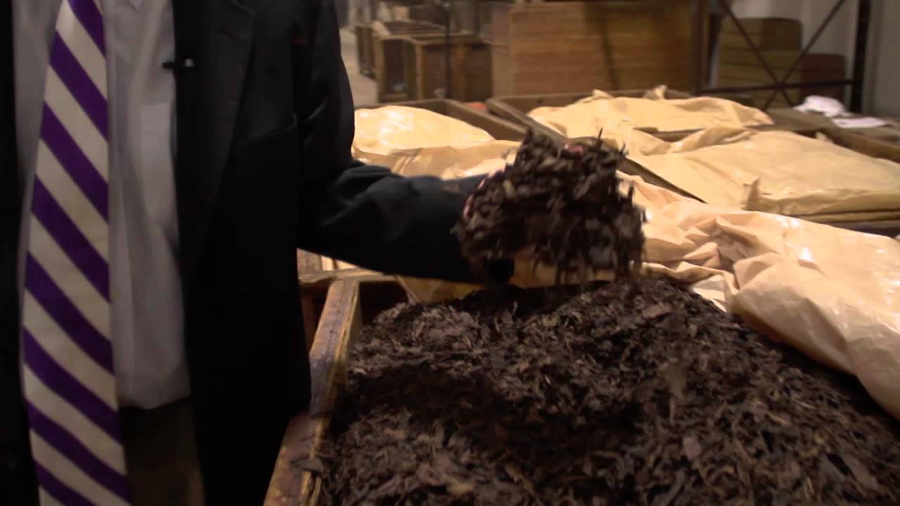 To The Avanti Cigar Company! YouTube