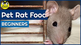 Pet Rat Food - What Do Rats Eat? Guide For Beginners