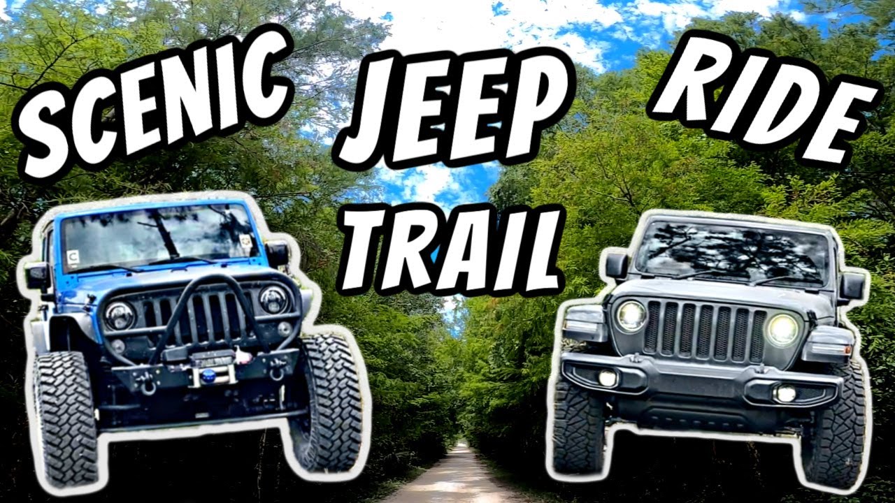 OffRoading Through Picayune Strand State Forest ⎪Jeep Scenic Drive