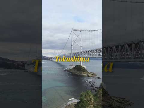 🇯🇵도쿠시마 여행.zip | 도쿠시마라멘🍜 | 나루토 소용돌이🌀 | 오츠카국제미술관🖼 | 쿠루쿠루나루토🚗