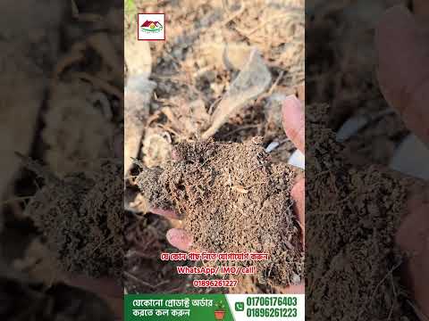 গাছের গোড়ায় কোকোপিট দিলে কী উপকার হয়? 🌿🪴 | Cocopeat Benefits Guide