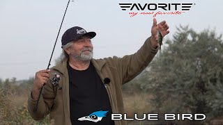 Сказ о том как новый Blue bird окуней из травы выдергивал. Обзор Favorite Blue Bird BB1-682SUL-S.