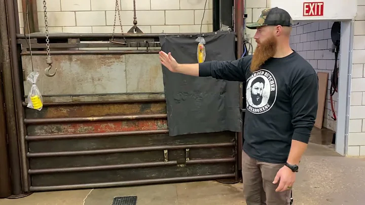 Behind the Scenes at a Slaughterhouse | Large Anim...