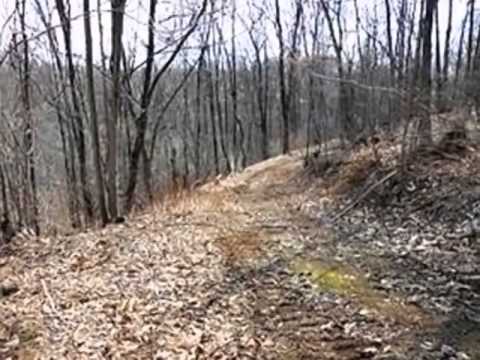 Homes for Sale - Donivans Lane Falling Waters WV 25419 - Cynthia VanDyne