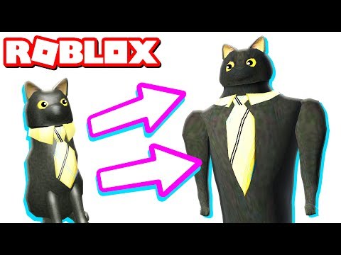SIR MEOWS A LOT BECOMES HUMAN