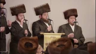 Siyum on Seder Moed - DIRSHU - Connecticut | סיום סדר מועד ומלווה מלכה 'דרשו' - קונטיקט