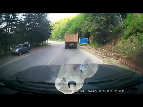 რიკოთი-არგვეთა/Rikoti-Argveta Timelapse