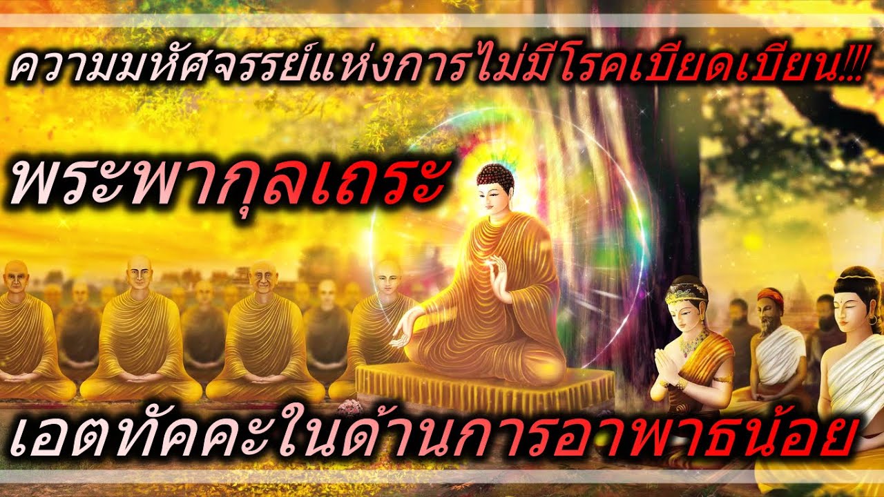 มหัศจรรย์แห่งการไม่มีโรคเบียดเบียน!!!พระพากุลเถระ เอตทัคคะในด้านการอาพาธน้อย ธรรมะธรรมชาติ🏵️