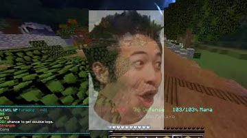 Getting the Bazaar in Hypixel Skyblock