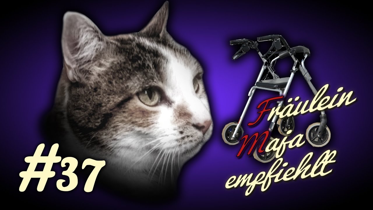 Alte Katzen-How to-Pflege betagter Katzen-3 einfache Tipps. Fräulein Maja empfiehlt Teil 37