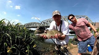 Рыбалка в Голландии на фидер на реке Маас , Feeder Angeln in Holland, GoPro Hero 6