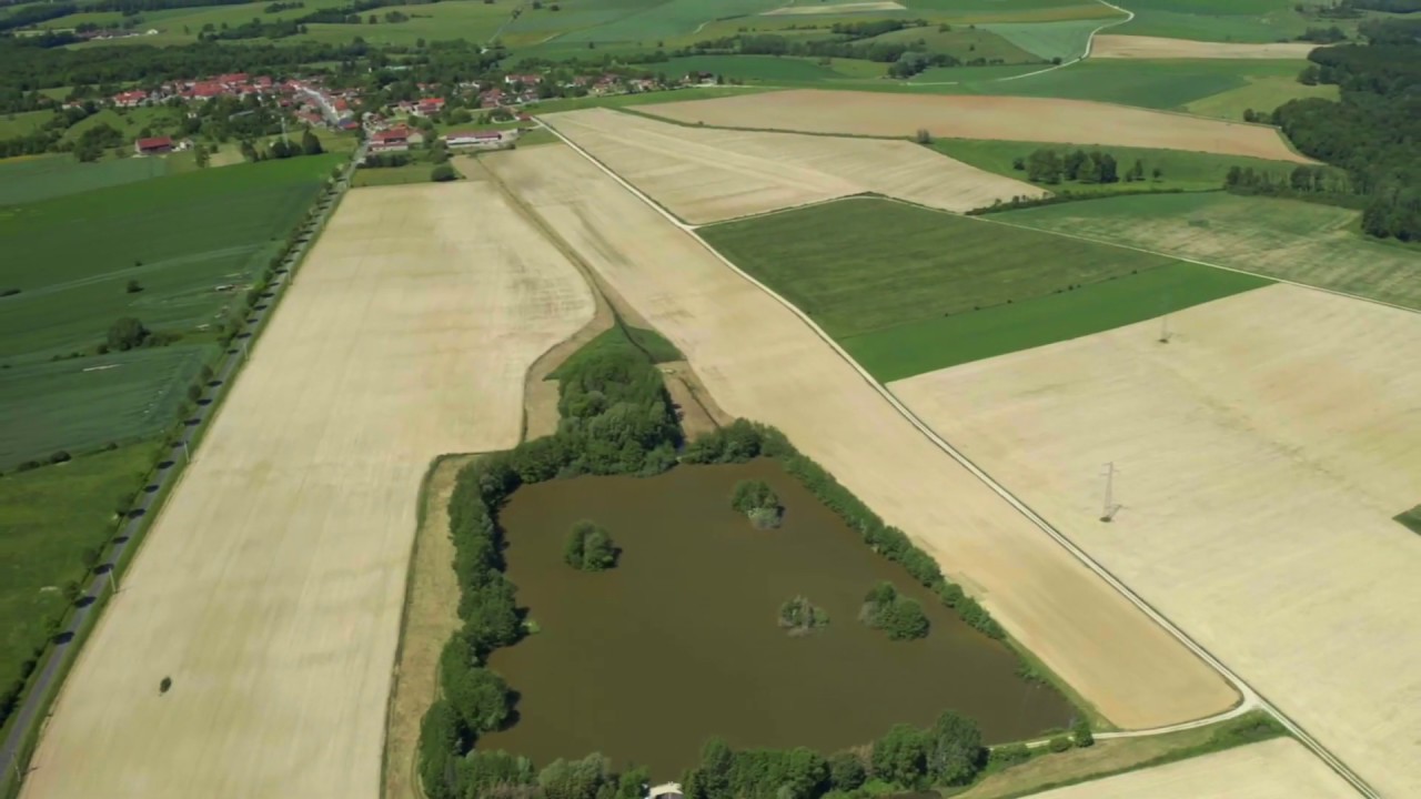 The Carp Specialist - Bouchot