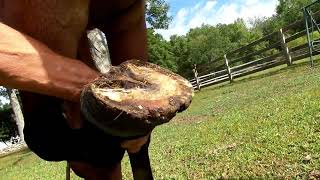 Speak Unto Me 08032022