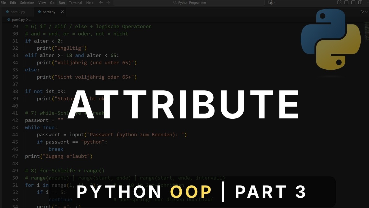 Attribute (Daten im Objekt speichern) | Python OOP #3 - YouTube