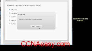 CCNA 1 Chapter 2 V4 0