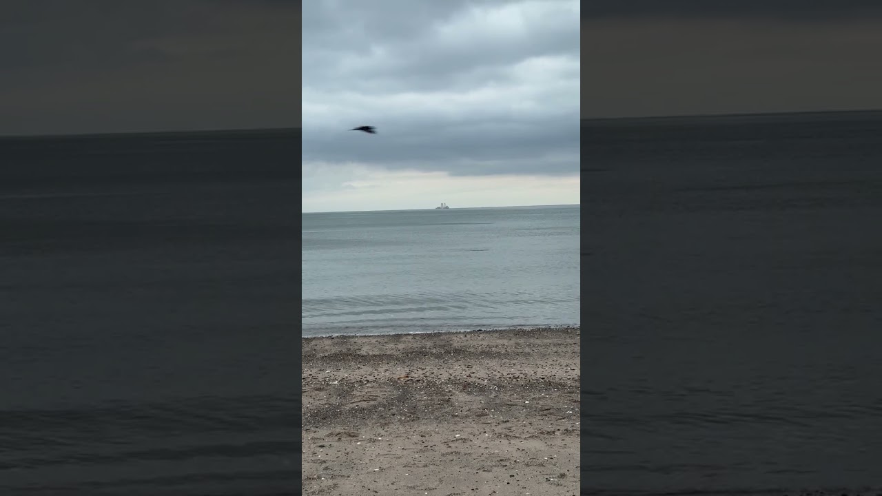 Connecting with the motherland beach 