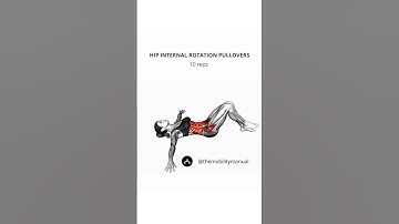 Spine Mobility Routine | Mobility Exercises | The Mobility Manual