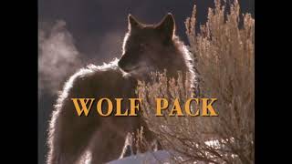 Wolf Pack (Full Documentary)