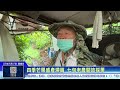世新新聞  四季芒果盛產滯銷 七旬老農開放採果