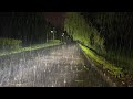 Beautiful Rain on a Peaceful Park Alley at Night | Heavy Rain Sounds for Sleep - Study and Relax