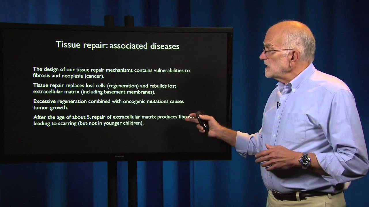 4.5 - Defenses: Diseases