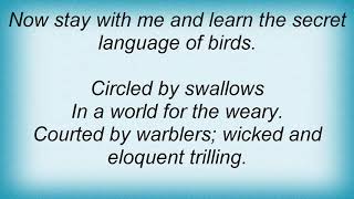 Ian Anderson - The Secret Language Of Birds Lyrics