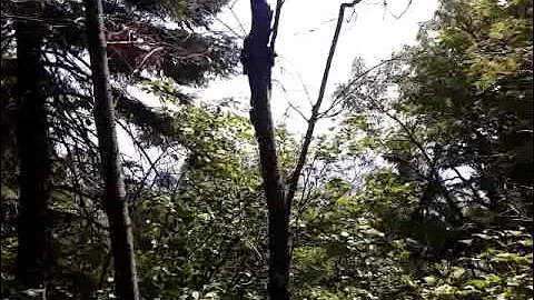 Parc Forillon, Gaspésie - Ascension du Mont Saint Alban